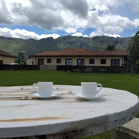 Apartman La Tarazana 4